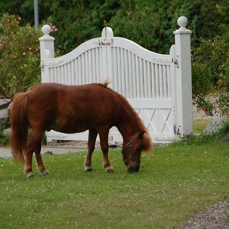Ostseepferdehof Neukirchen  Eksteriør billede